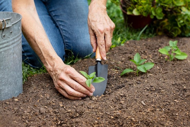 Drop irrigation in modern greenhouses